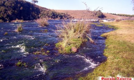 Parque das Cascatas (2858)