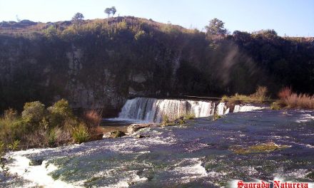 Parque das Cascatas (2860)