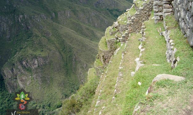 Machu Picchu (3927)