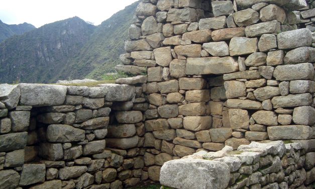 Machu Picchu (3931)