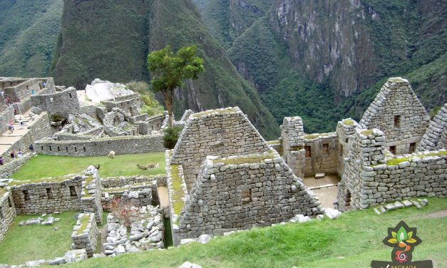 Machu Picchu (3933)