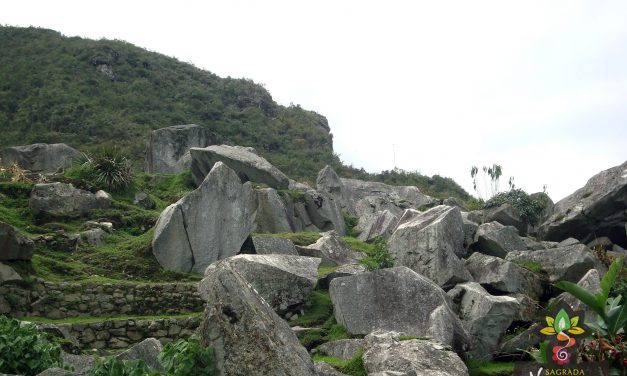 Machu Picchu (3935)