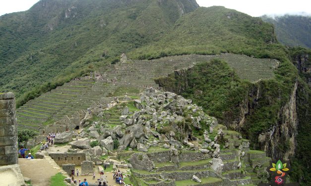 Machu Picchu (3945)