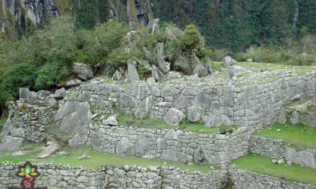 Machu Picchu (3949)