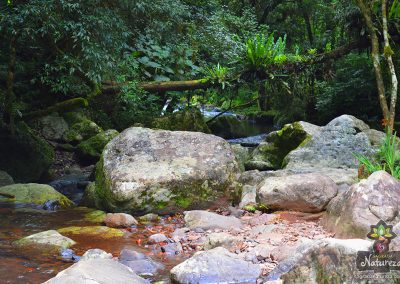 Cachoeira do Garapiá - Maquiné - RS