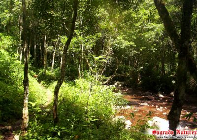 Cachoeira do Garapiá - Maquiné - RS