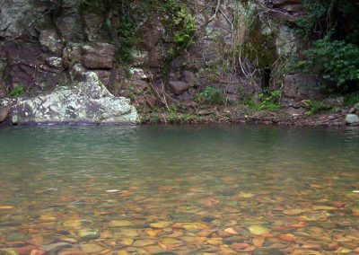 Cachoeira do Garapiá - Maquiné - RS